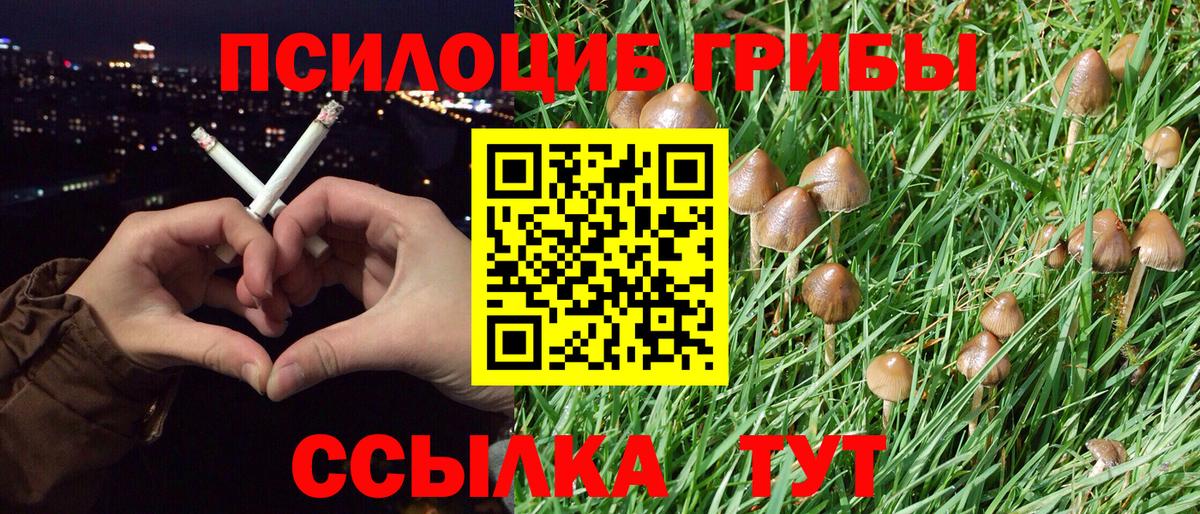 Псилоцибиновые грибы мухоморы  Галлюциногенные грибы Cubensis  Вход с VPN  Сорочинск 